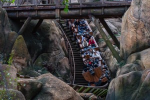 People Emotions on a Roller Coaster