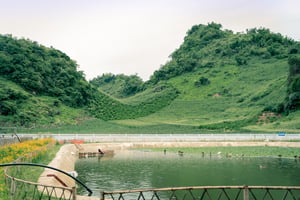 Hồ nước sau khi xử lý chất thải của Công Ty Cà Phê Sơn La