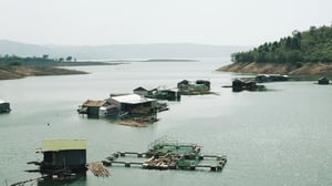 Một đoạn sông Krông Nô, Đắk Lắk
