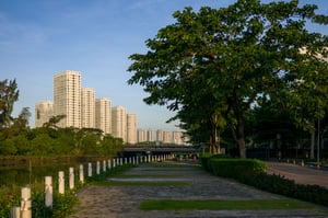 Green road