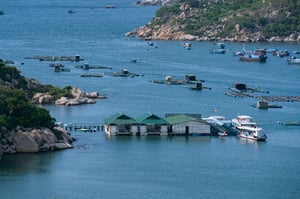 Làng bè trên vịnh Vĩnh Hy