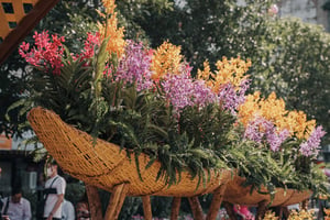 Thuyền hoa