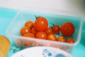 Những trái cà chua căng mọng