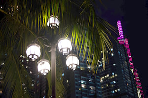 Park Lights