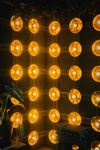 Những bóng đèn vàng
