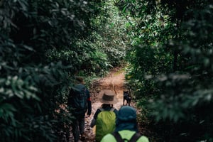 Đoàn người trekking qua rừng cây rậm rạp