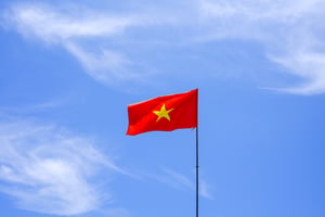 Lá cờ Việt Nam