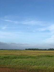 Bãi cỏ xanh mát