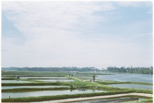 Aquaculture Landscape