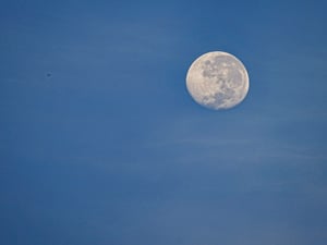 The moon in the morning.