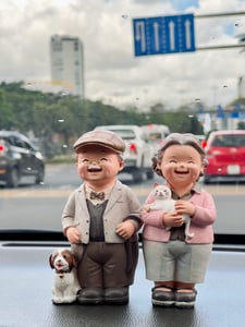 A happy old couple