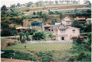 Vườn rau nhỏ ở Đà Lạt