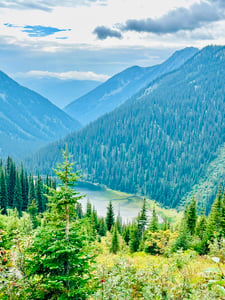 Nountains Pine Trees At Kokanee Lake