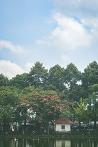 Hồ nước trong công viên Lê Thị Riêng