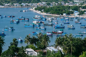 Fishing boats