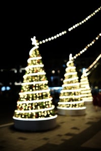 Cây thông Noel