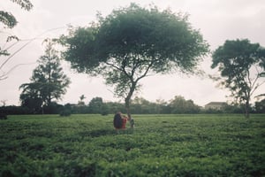 Một cô gái trẻ đứng giữa đồi chè