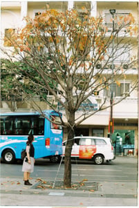 Góc phố mộng mơ