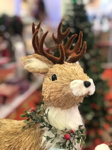 The Christmas Deer