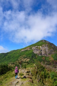 Xương sống khủng long