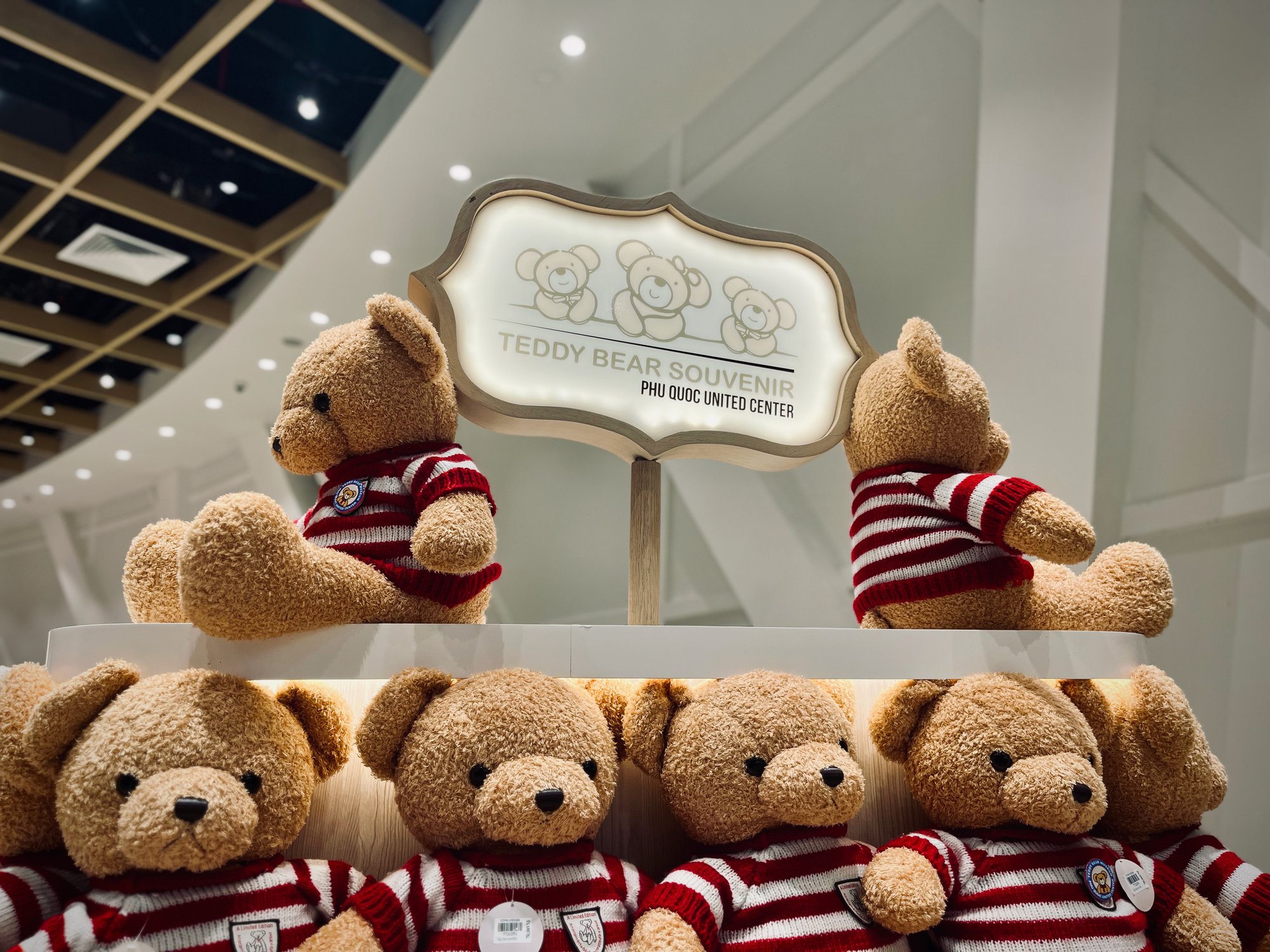 Teddy Bear Souvenir