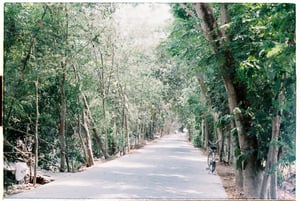 Con đường quê thanh vắng