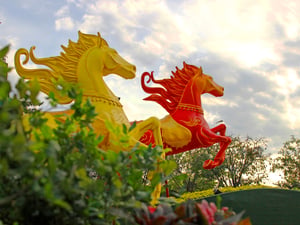 Phi về ánh mặt trời