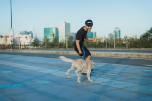 A man plays with a dog