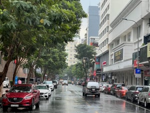 A rainy day
