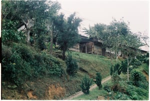 Con dốc lên ngôi nhà gỗ