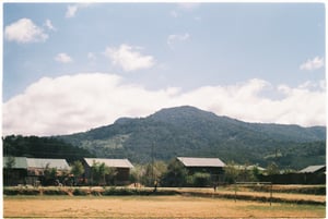 A slice of rural Vietnam