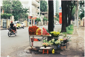 Một quầy hoa tươi sặc sỡ bên vỉa hè