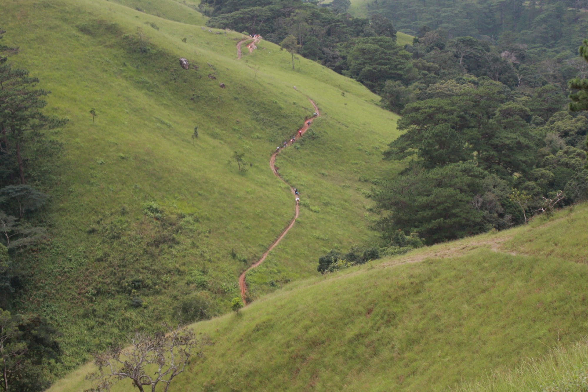 Đoàn người đang trekking men theo sườn đồi trên cung Tà Năng - Phan Dũng