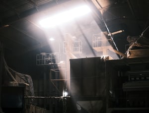 Dây chuyền sản xuất cà phê nhân xanh