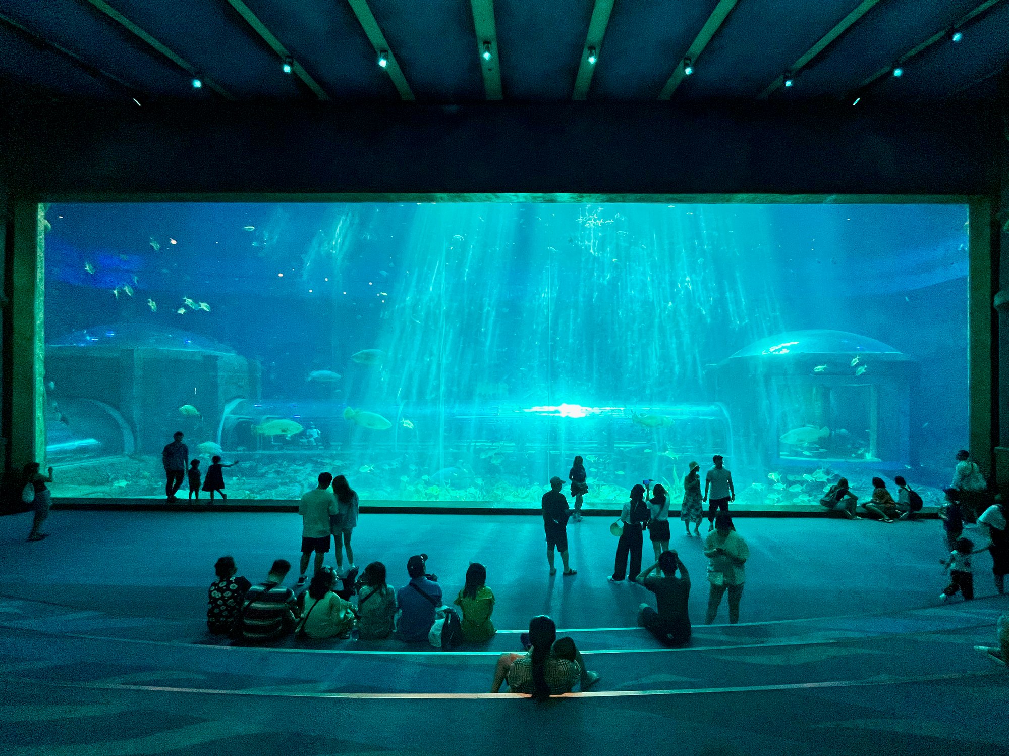 VinWonder Aquarium