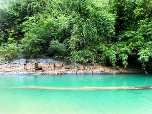 Dòng suối ngọc dưới rừng cây xanh biếc
