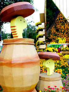 Rắn vô tri