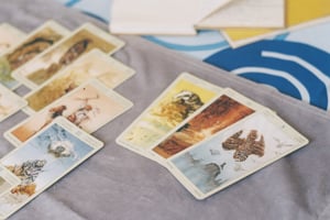 Những lá bài tarot được trải trên bàn
