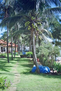 Sân vườn tại một resort
