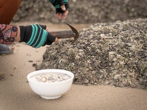Cạy hàu nấu cháo