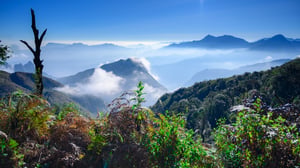 Phong cảnh Sàng Ma Sáo