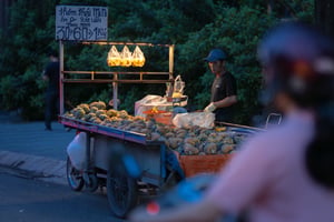 Xe bán trái cây dạo