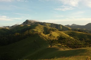 Núi rừng Tà Năng - Phan Dũng