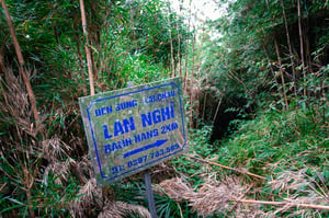 Xương sống khủng long