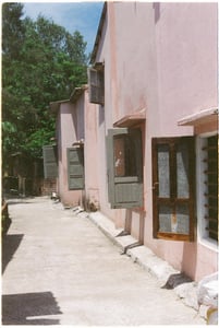 The windows