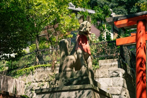 Tượng cáo đá Kitsune ở đền Ikuta tại Kobe