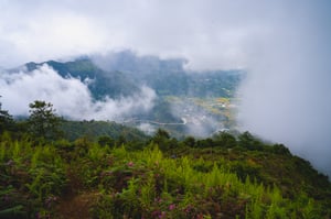 Săn mây ở Sapa