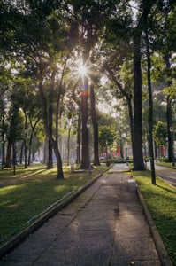 Nắng sáng công viên