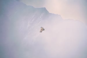 Over the top of the world