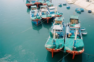 Tàu đánh cá neo đậu tại cảng cá Ninh Thuận